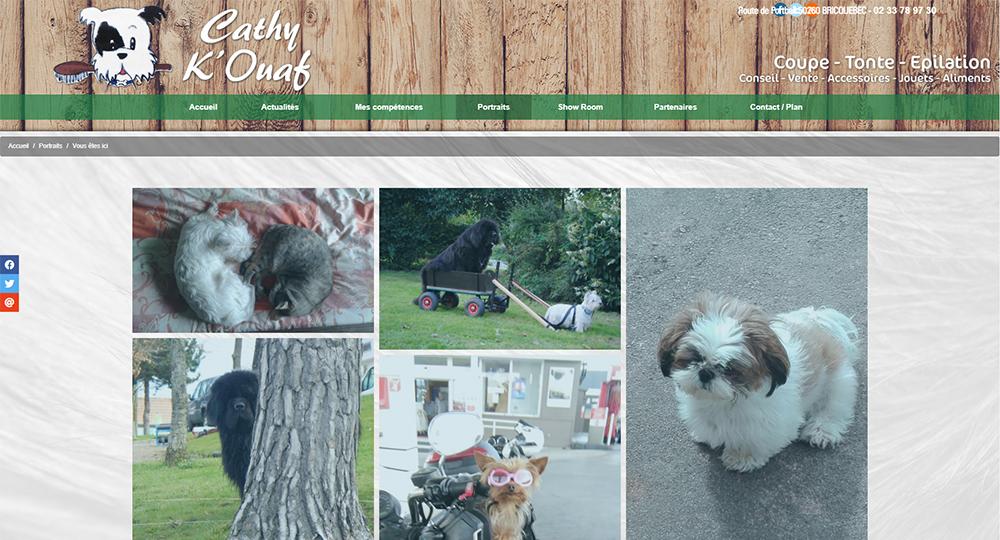 Mise &agrave; jour Cathy K'Ouaf